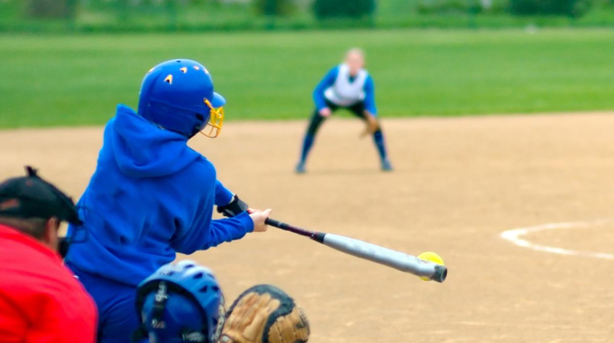 Softball Bats HERO